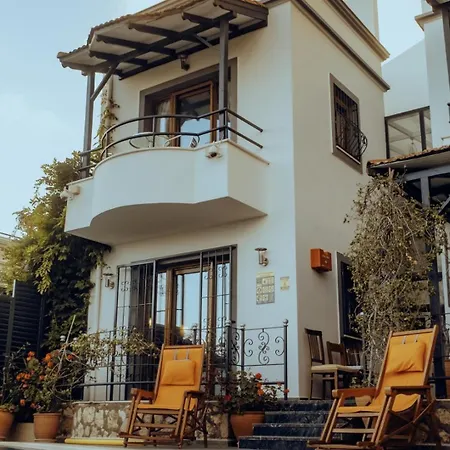 Kirlangic Villa