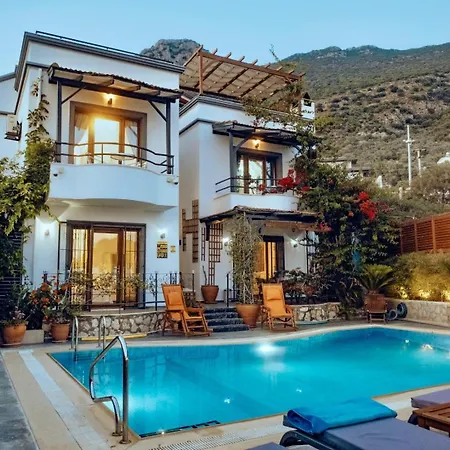 Kirlangic Villa *